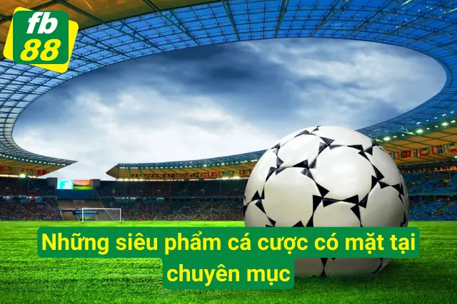 Tổng hợp các sản phẩm cá cược tại chuyên mục