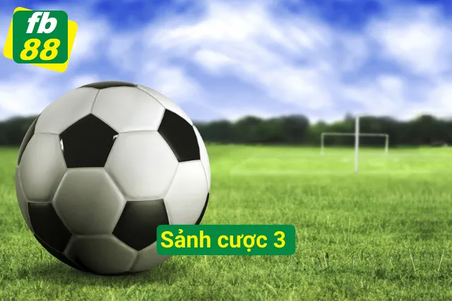 Sảnh cược 3 với nhiều điểm hấp dẫn